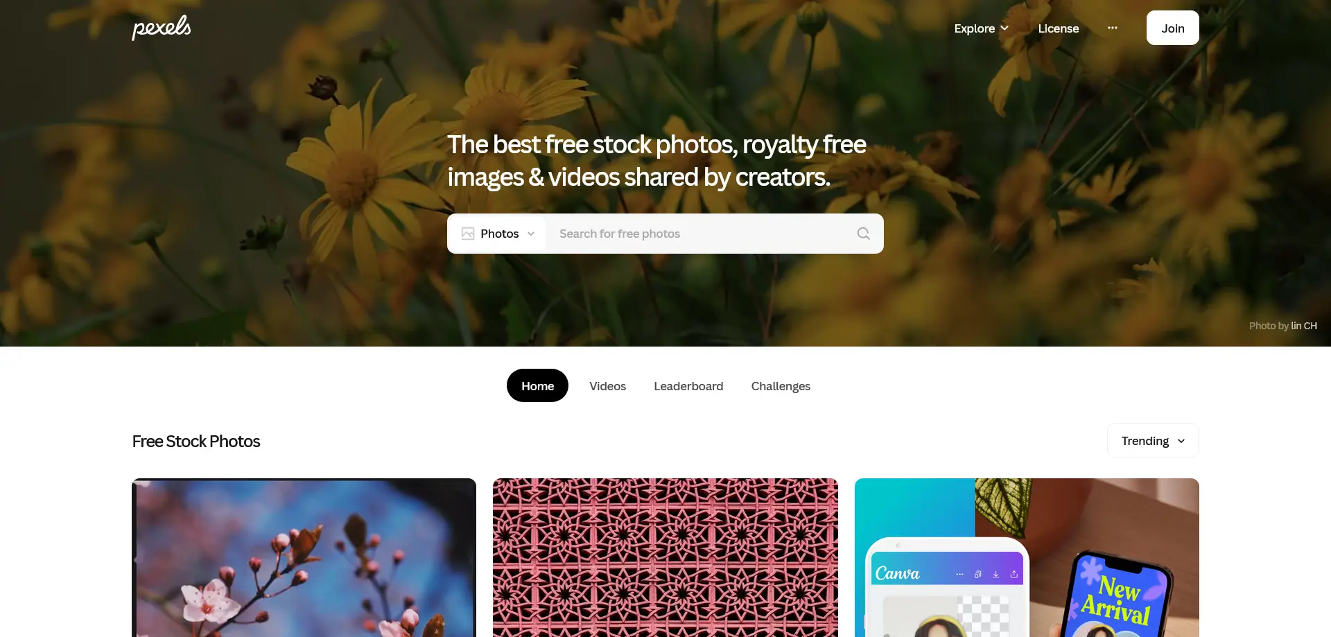 pexels - Essential Tool for Web Designers